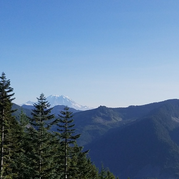 Meet your Posher, Tawni - Picture 1 of 1